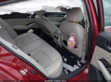 Miniaturka zdjęcia 8