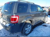 Ford Escape Xlt 1FMCU03G09KD16294 снимка