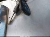 Miniaturka zdjęcia 11