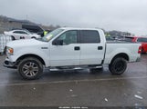 Ford F-150 60Th Anniversary/Fx4/King Ranch/Lariat/Xlt 1FTPW14V68FB41592 photo