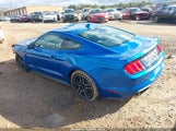 Miniaturka zdjęcia 3