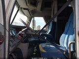 Miniaturka zdjęcia 5