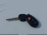 Miniaturka zdjęcia 11