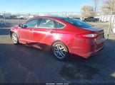 Miniaturka zdjęcia 3