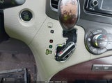 Miniaturka zdjęcia 11