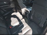 Miniaturka zdjęcia 8