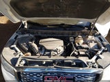GMC Acadia Denali 1GKKNPLS6HZ186610 снимка