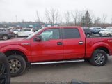 Ford F-150 Xlt 1FTFW1EF9BKD91264 снимка