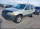 Ford Escape Xlt 1FMYU93115KB75462 снимка