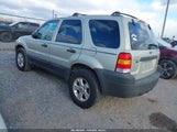 Ford Escape Xlt 1FMYU93115KB75462 снимка