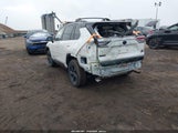 Miniaturka zdjęcia 3