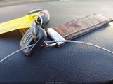 Miniaturka zdjęcia 11