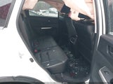 Miniaturka zdjęcia 8