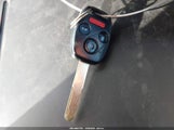 Miniaturka zdjęcia 11