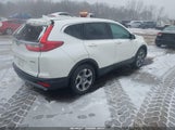Miniaturka zdjęcia 4
