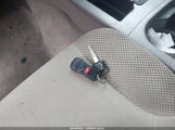 Miniaturka zdjęcia 11