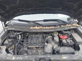 Ford Utility Police Interceptor 1FM5K8AR5EGA28852 снимка