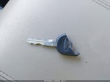 Miniaturka zdjęcia 11