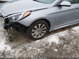 Hyundai Sonata Sport 5NPE34AF3HH542182 fotografie