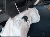 Miniaturka zdjęcia 11