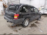 Jeep Grand Cherokee Laredo 1J4GW48N74C359283 fotografie