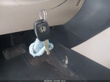 Miniaturka zdjęcia 11