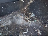 Kia Soul KNDJN2A2XF7148559 снимка