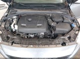 Miniaturka zdjęcia 10