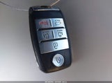 Miniaturka zdjęcia 11