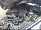 Miniaturka zdjęcia 10