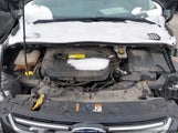 Ford Escape Titanium 1FMCU9JX8FUC00252 fotografie