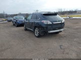 Miniaturka zdjęcia 3