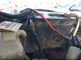 Miniaturka zdjęcia 6