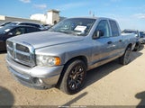 Miniaturka zdjęcia 2