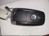 Miniaturka zdjęcia 11