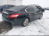 Nissan Maxima 3.5 Sv 1N4AA51E69C841055 снимка