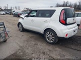 Miniaturka zdjęcia 3