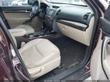 Miniaturka zdjęcia 5