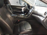 Miniaturka zdjęcia 5