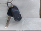 Miniaturka zdjęcia 11