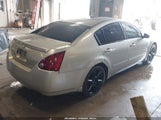 Nissan Maxima 3.5 Se 1N4BA41E56C818473 снимка