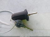 Miniaturka zdjęcia 11