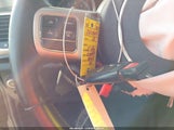 Miniaturka zdjęcia 11