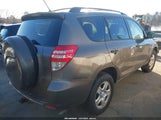 Miniaturka zdjęcia 4