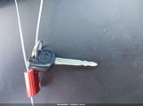 Miniaturka zdjęcia 11