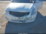 Miniaturka zdjęcia 6