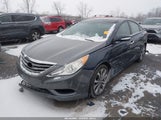 Hyundai Sonata Limited 2.0T 5NPEC4AB1DH614083 снимка