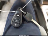 Miniaturka zdjęcia 11