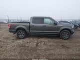 Ford F-150 Xlt 1FTEW1EG1GKF62147 снимка