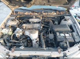 Miniaturka zdjęcia 10